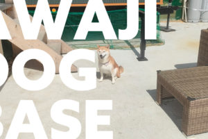 ワンコと同宿OK! 淡路島にできたグランピング施設「AWAJI DOG BASE」に泊まってみた｜スタジオ・ボウズ