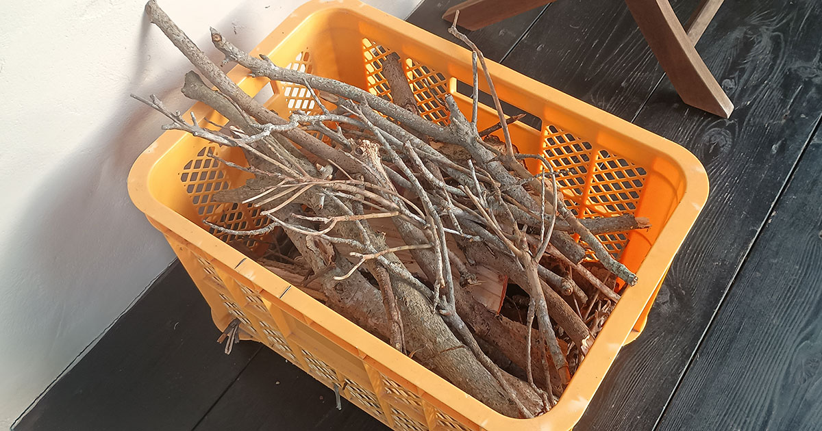 【柴犬のはなし】贅沢1棟貸し！ペット泊まれるコテージ「カレント志摩」レビュー｜スタジオ・ボウズ