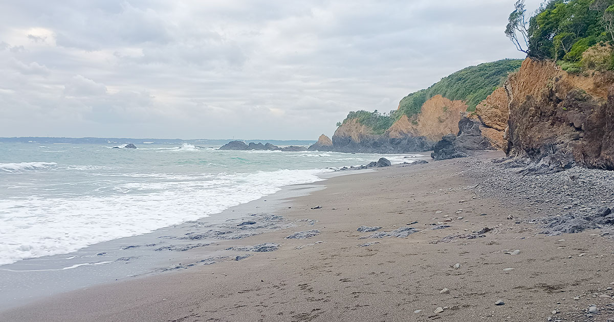 【柴犬のはなし】贅沢1棟貸し！ペット泊まれるコテージ「カレント志摩」レビュー｜スタジオ・ボウズ