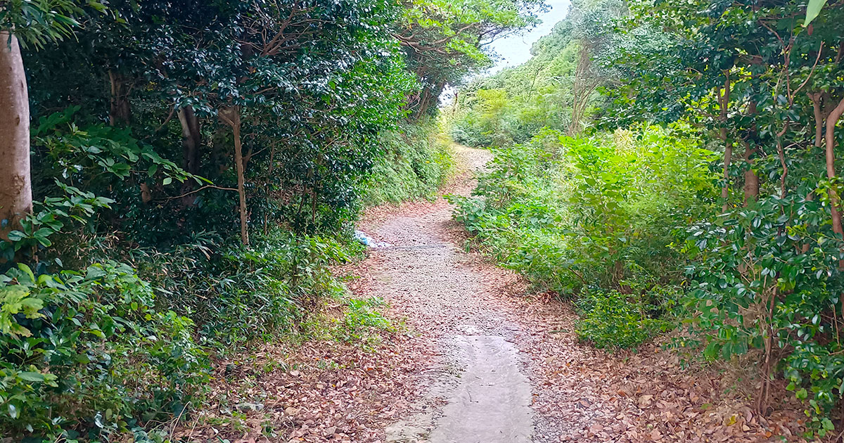 【柴犬のはなし】贅沢1棟貸し！ペット泊まれるコテージ「カレント志摩」レビュー｜スタジオ・ボウズ