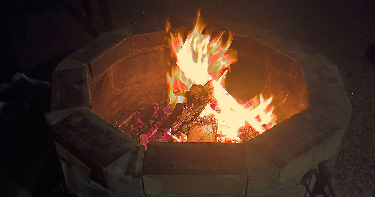 【柴犬のはなし】贅沢1棟貸し！ペット泊まれるコテージ「カレント志摩」レビュー｜スタジオ・ボウズ