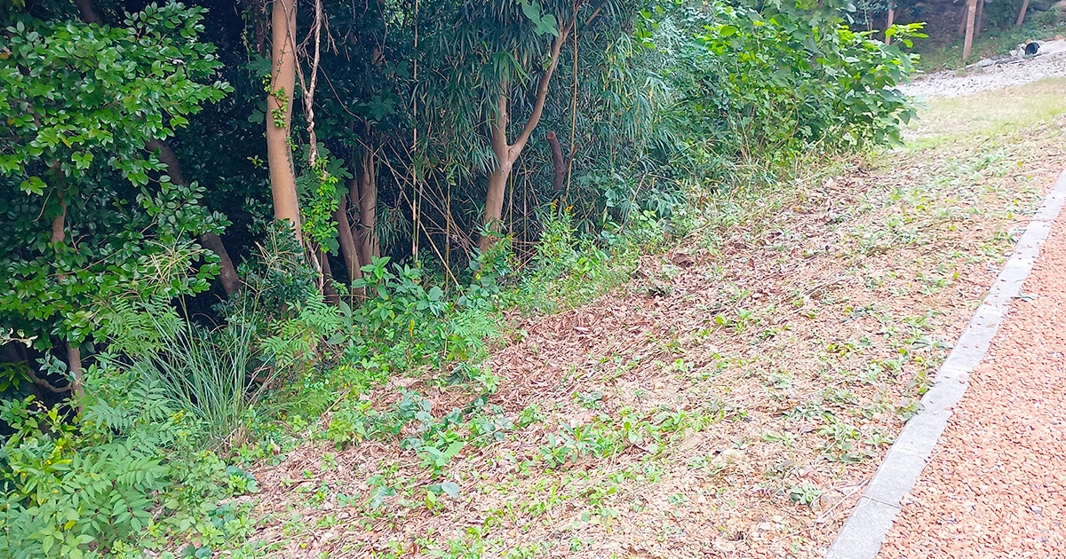 【柴犬のはなし】贅沢1棟貸し！ペット泊まれるコテージ「カレント志摩」レビュー｜スタジオ・ボウズ