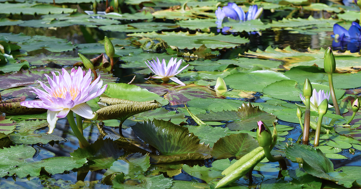 「男性的」を少しだけ外す～デザインとジェンダーバイアスの話｜スタジオ・ボウズ