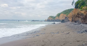 【柴犬のはなし】贅沢1棟貸し！ペット泊まれるコテージ「カレント志摩」レビュー｜スタジオ・ボウズ