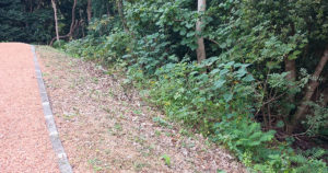 【柴犬のはなし】贅沢1棟貸し！ペット泊まれるコテージ「カレント志摩」レビュー｜スタジオ・ボウズ