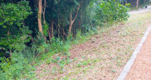 【柴犬のはなし】贅沢1棟貸し！ペット泊まれるコテージ「カレント志摩」レビュー｜スタジオ・ボウズ