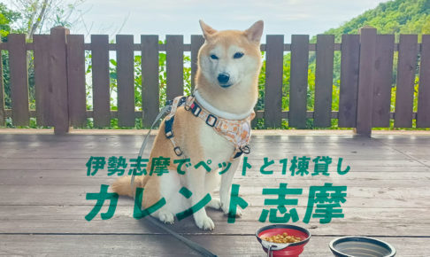 【柴犬のはなし】贅沢1棟貸し！ペット泊まれるコテージ「カレント志摩」レビュー｜スタジオ・ボウズ