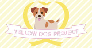 イエローリボンを付けている犬は「そっとしておいて」～イエロードッグプロジェクトについて｜愛玩動物飼養管理士｜スタジオ・ボウズ