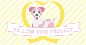 イエローリボンを付けている犬は「そっとしておいて」～イエロードッグプロジェクトについて｜愛玩動物飼養管理士｜スタジオ・ボウズ